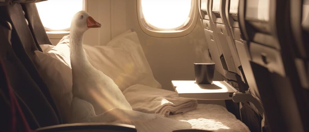 2016 11 Capture d cran 2016 11 18 10 52 min