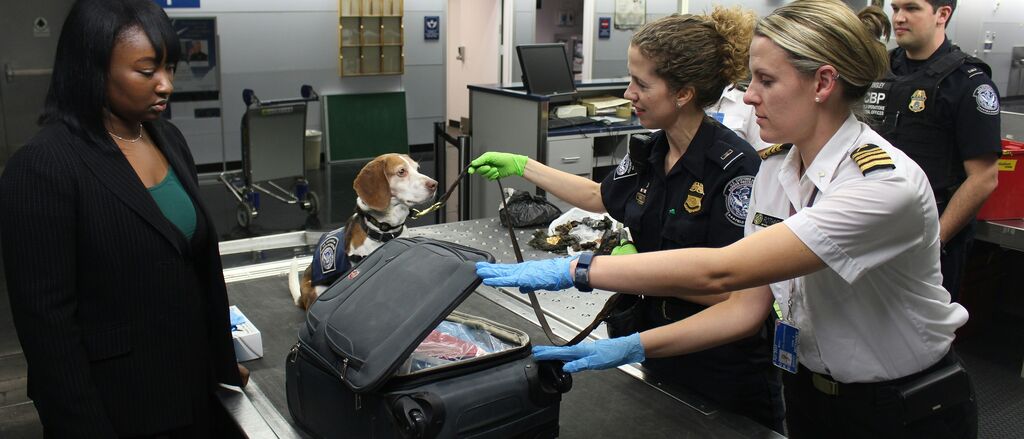 Cdc C Mh VRKI6v SY unsplash 1024x683