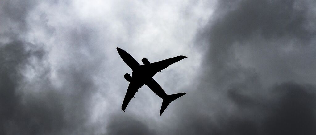 Trinity moss Cwl F Canvxr8 unsplash 1024x683